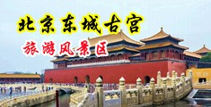 骚屄警花中国北京-东城古宫旅游风景区